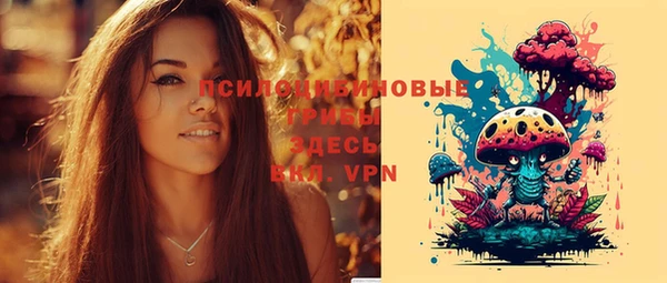 соль курить ск Алзамай