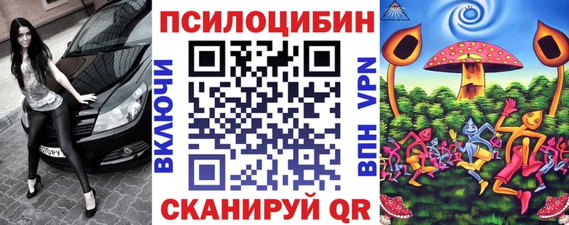 как найти наркотики Камень-на-Оби Галлюциногенные грибы Magic Shrooms
